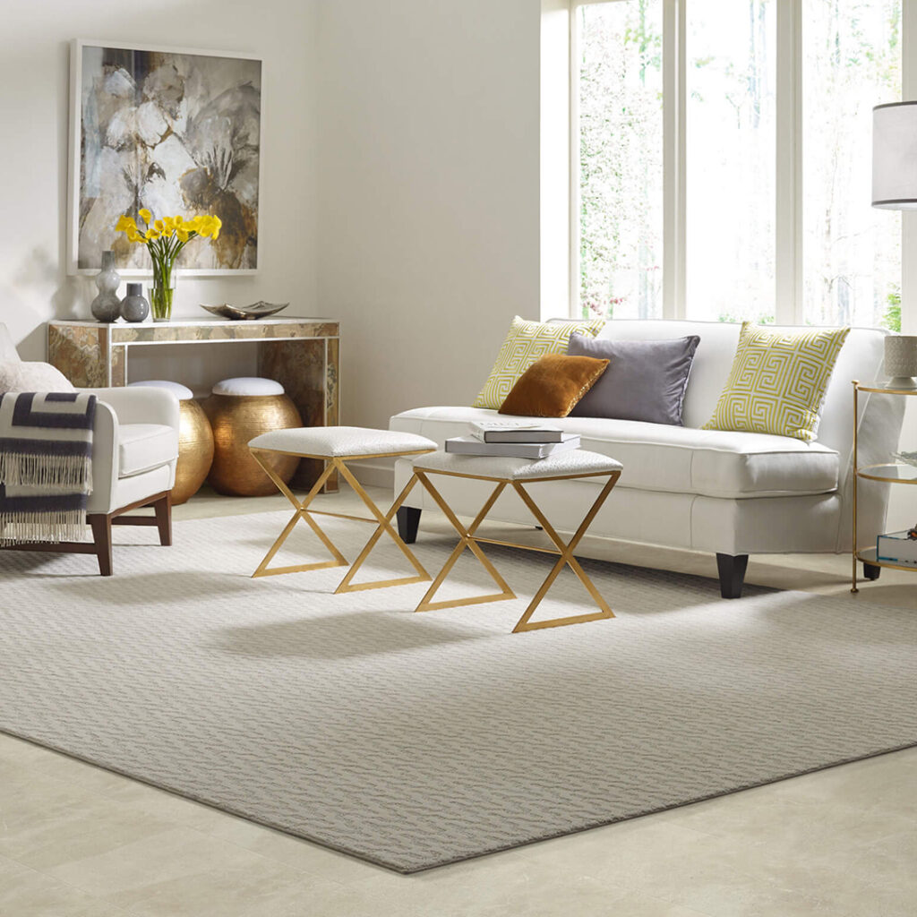 Area Rug | Hubbard Flooring Studio